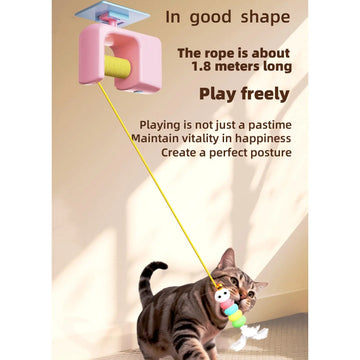 Electric Smart Cat Teaser
