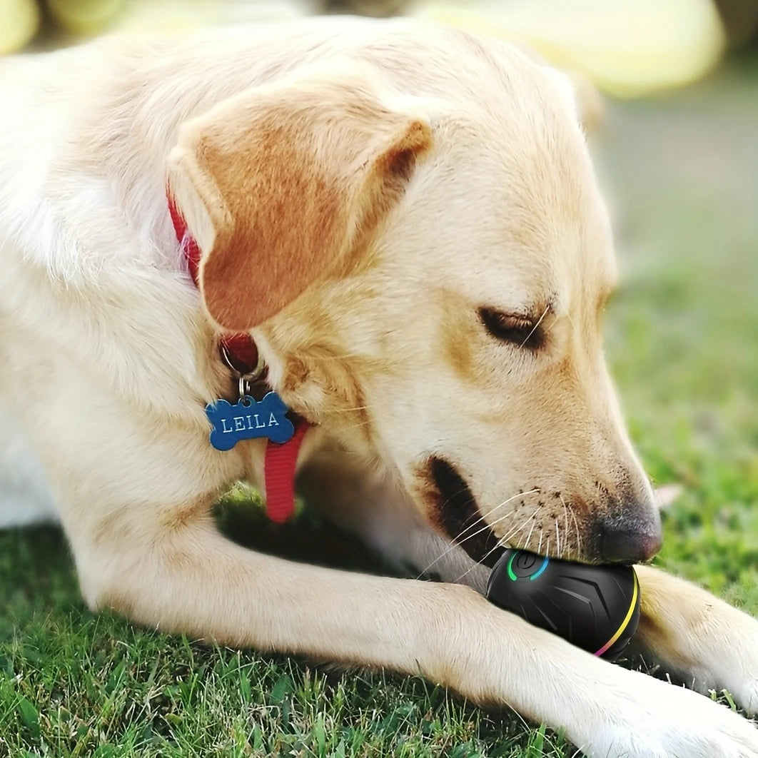 Intelligent Teasing Dog Ball