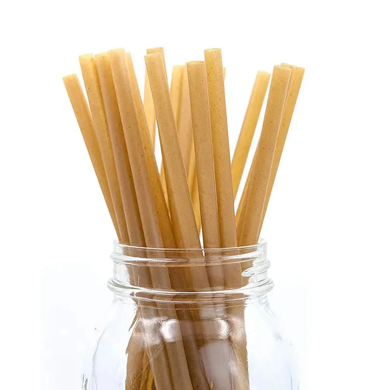 Eco-Friendly Sugarcane Straws