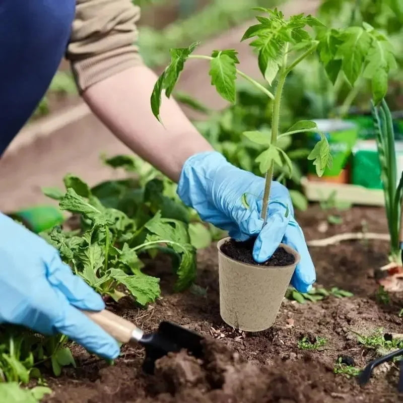 20-160PCS Biodegradable Eco-Friendly Seed Nursery Cup
