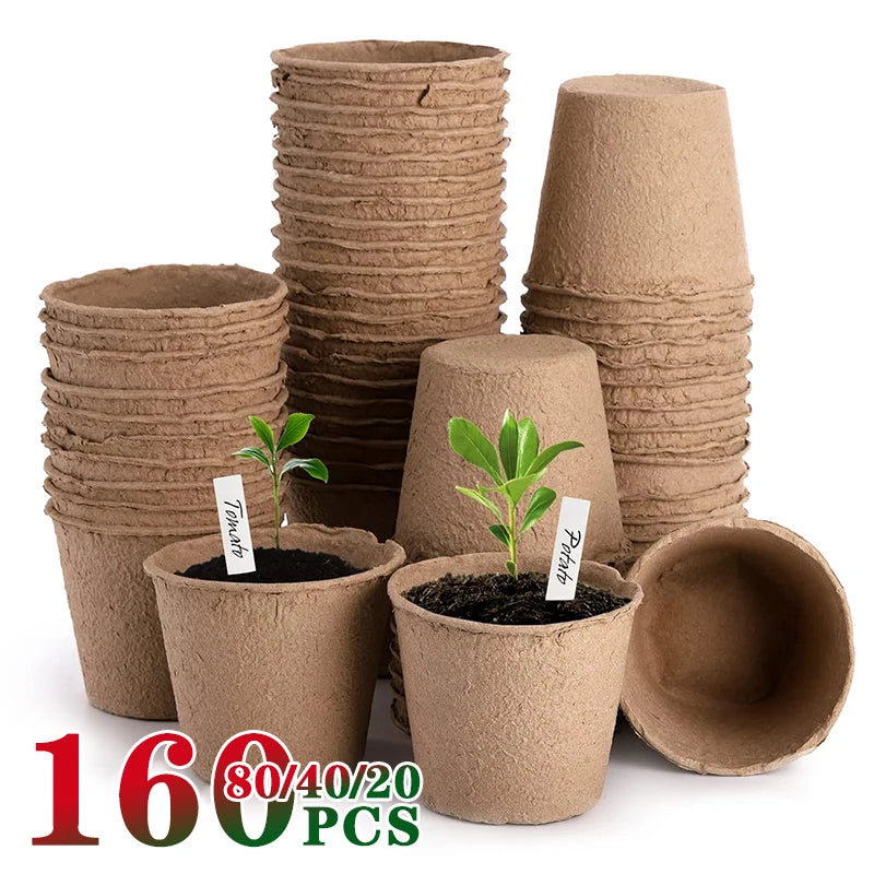 20-160PCS Biodegradable Eco-Friendly Seed Nursery Cup