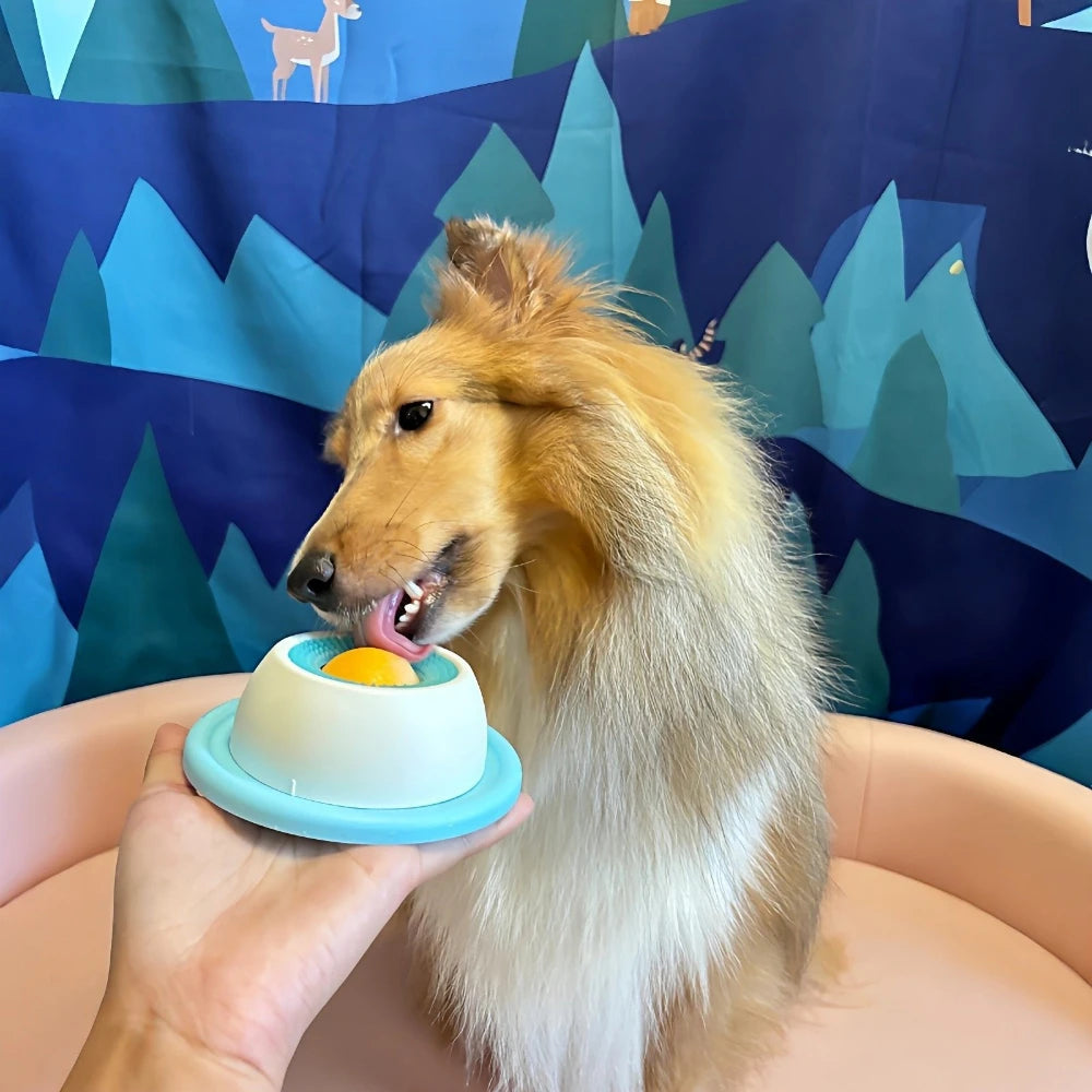 Interactive Pet Licking Mat